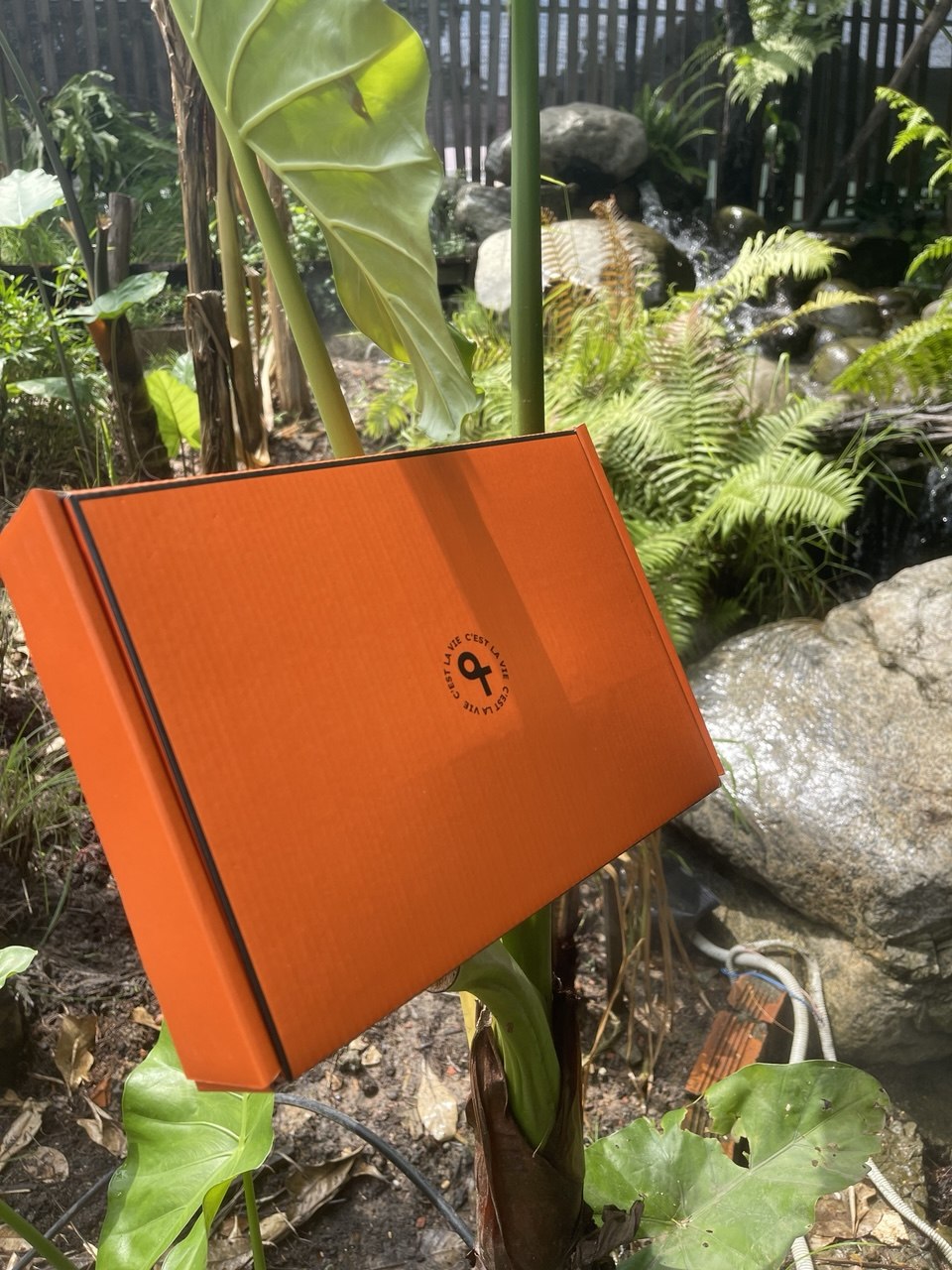 Áo Thun Local Brand - Lựa Chọn Tốt Cho Mua Sắm